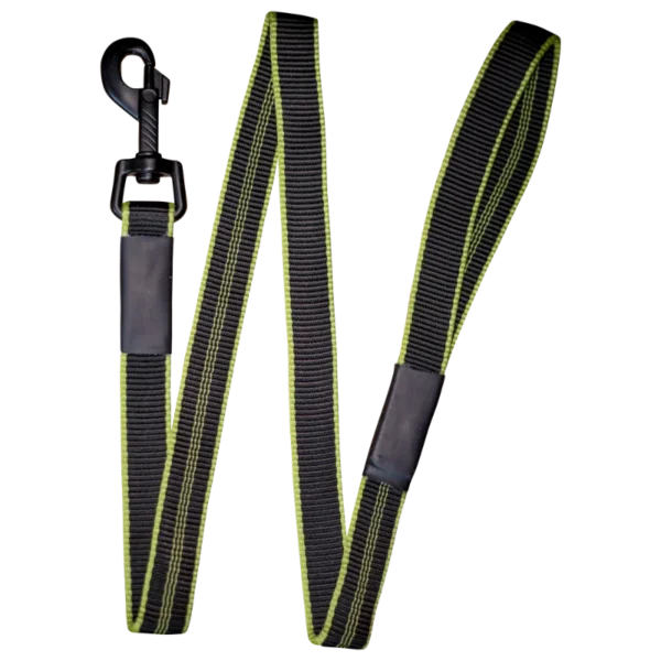 Dog Trial Leash